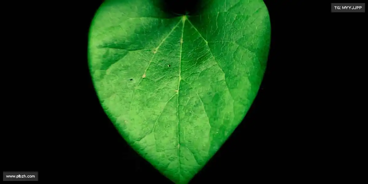 <strong>UED</strong>🥊每一次对抗，都是成长的勋章 —— 直面挑战，成就更好的自己！